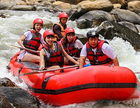 Sarah Johnson - Trip Coordinator